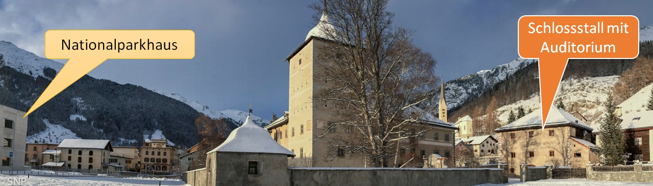 Fotografische Ansicht von Schloss und Schlossstall